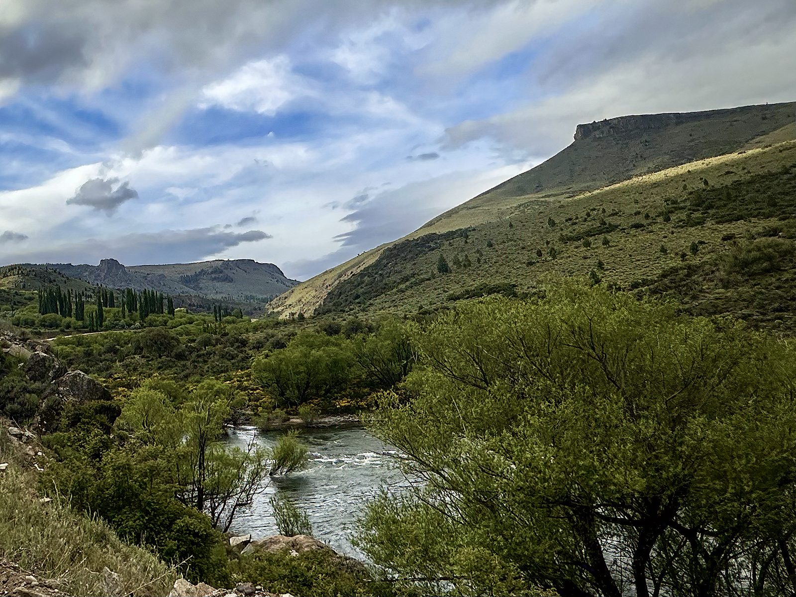 Patagonian river valley with mountains and green vegetation