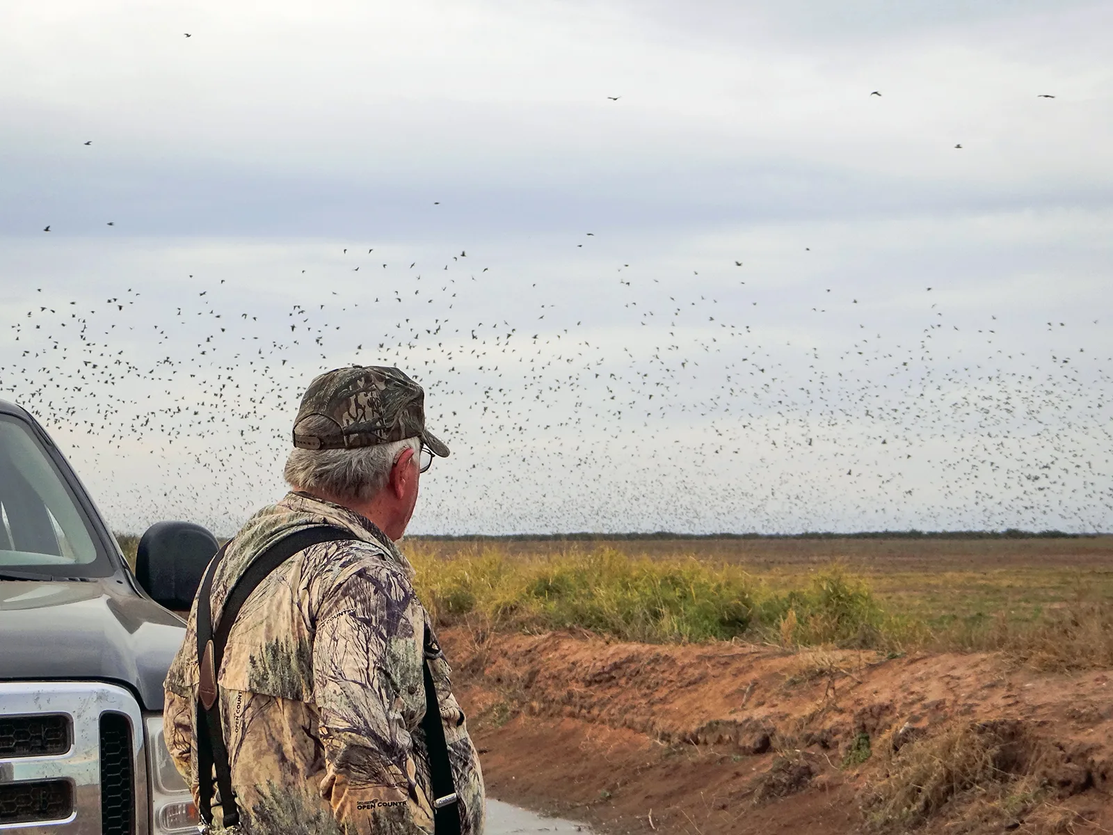 Hunter watching massive dove flock from truck