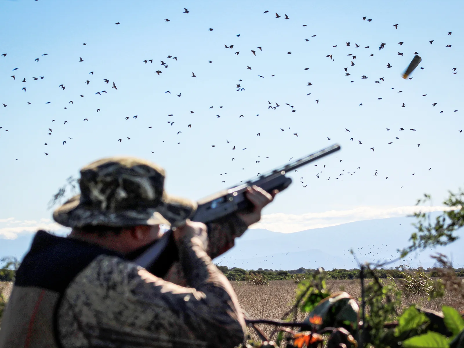 Hunter shooting doves with shell ejecting, mountains in background